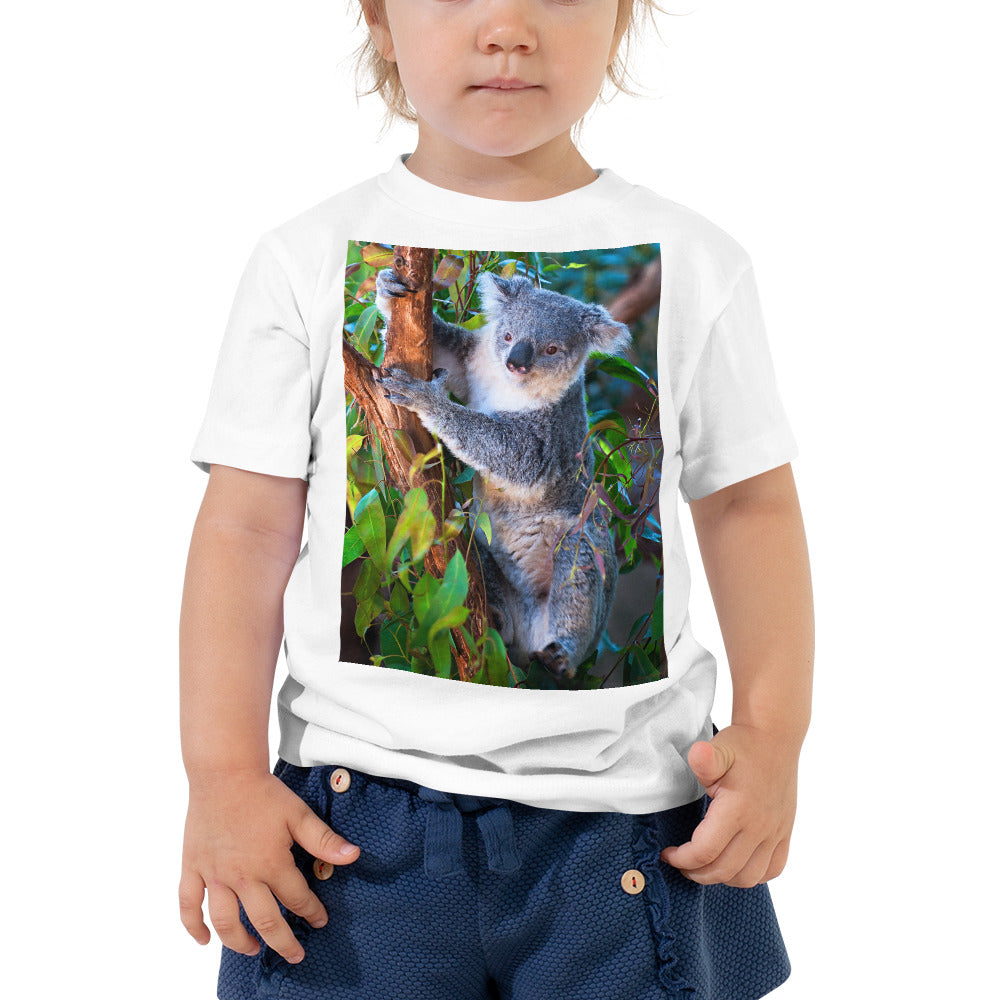 Stylish Jersey Crew Neck - Koala in a Tree - Ronz-Design-Unique-Apparel