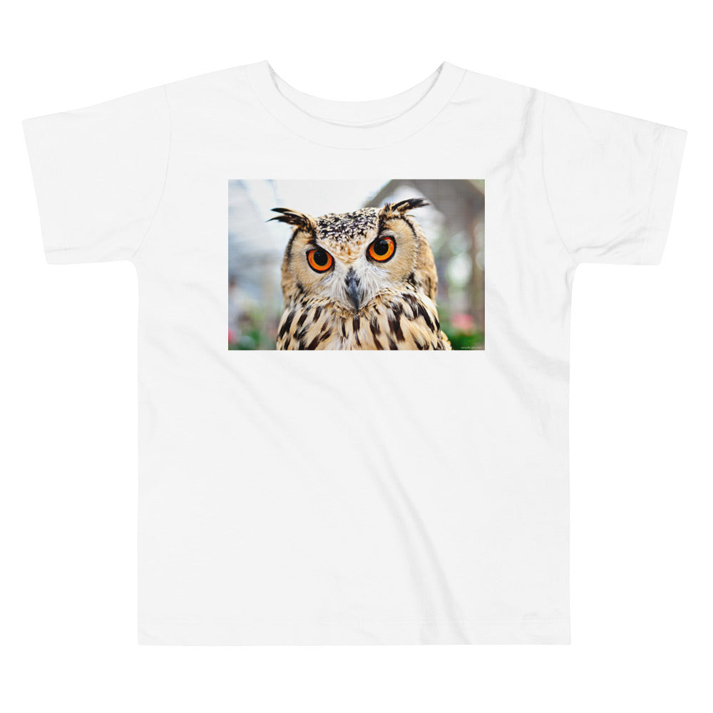 Premium Soft Toddler Tee - Orange Eyed Owl