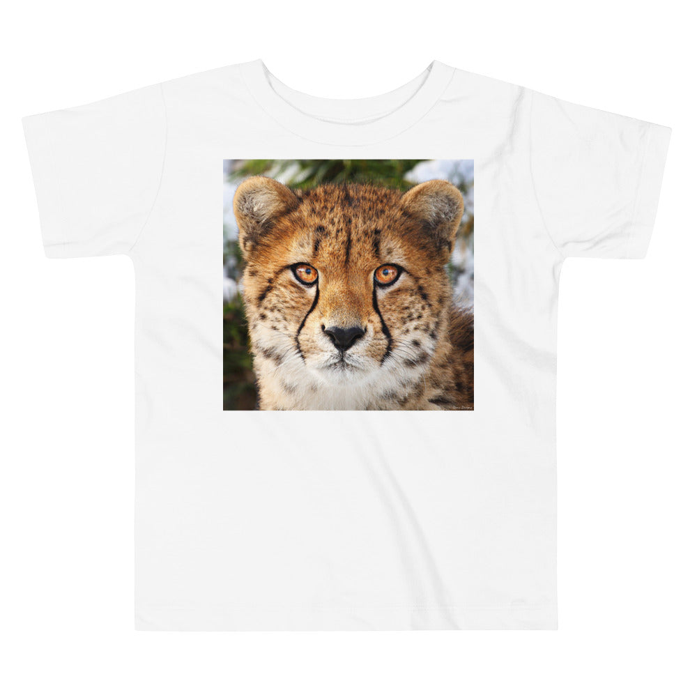 Premium Soft Toddler Tee - Cheetah Stare Down