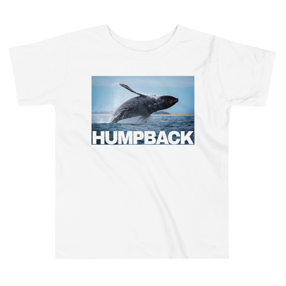 Premium Soft Toddler Tee - Humpback Having Fun