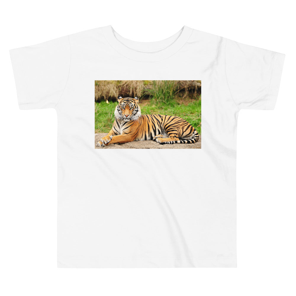 Premium Soft Toddler Tee - Nice Tiger!