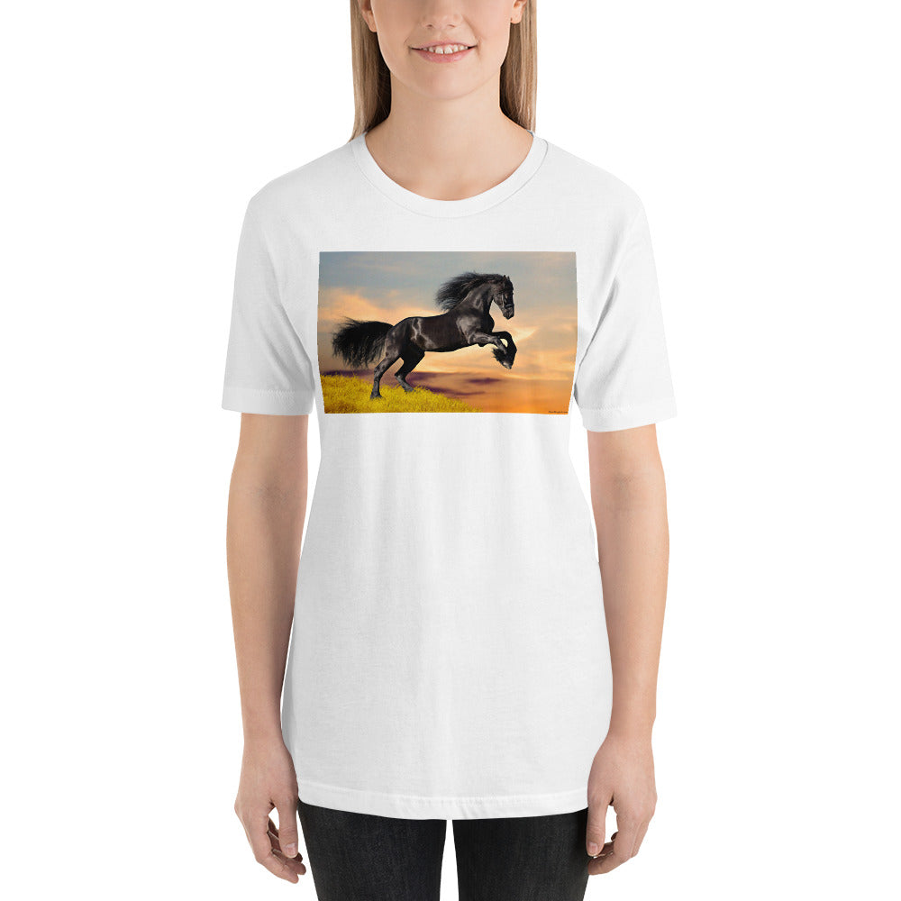 Everyday Elegant Tee - Black Friesian Launching