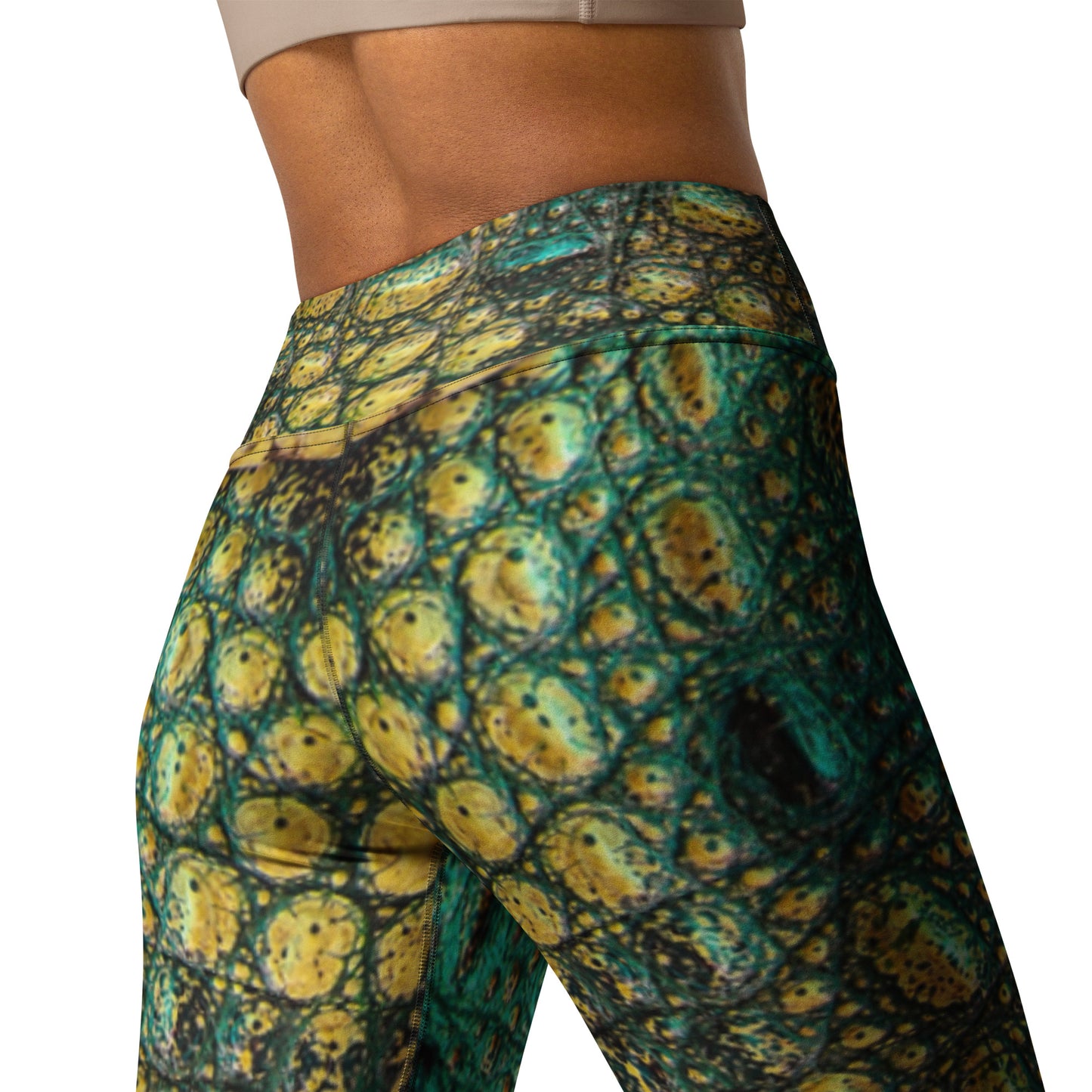 Later Alligator - Women's Leggings