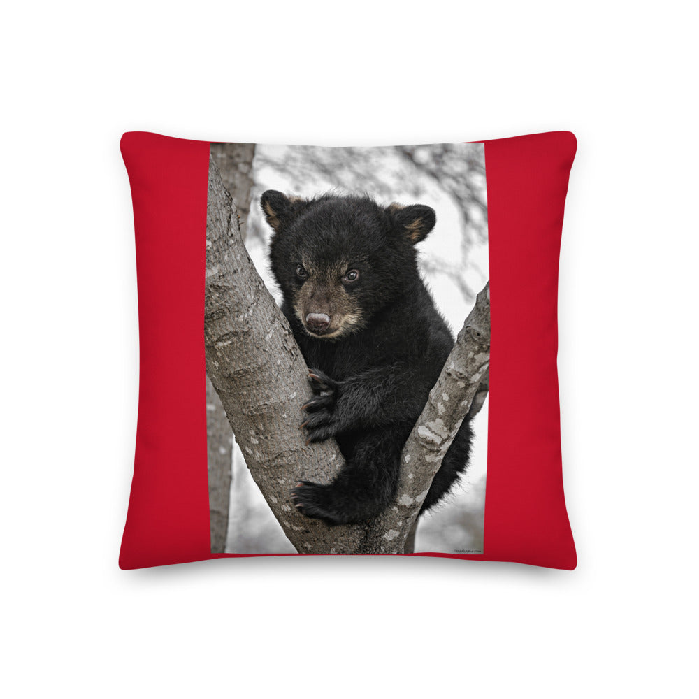 Premium Red Stuffed Pillow - Baby Black Bear in a Tree