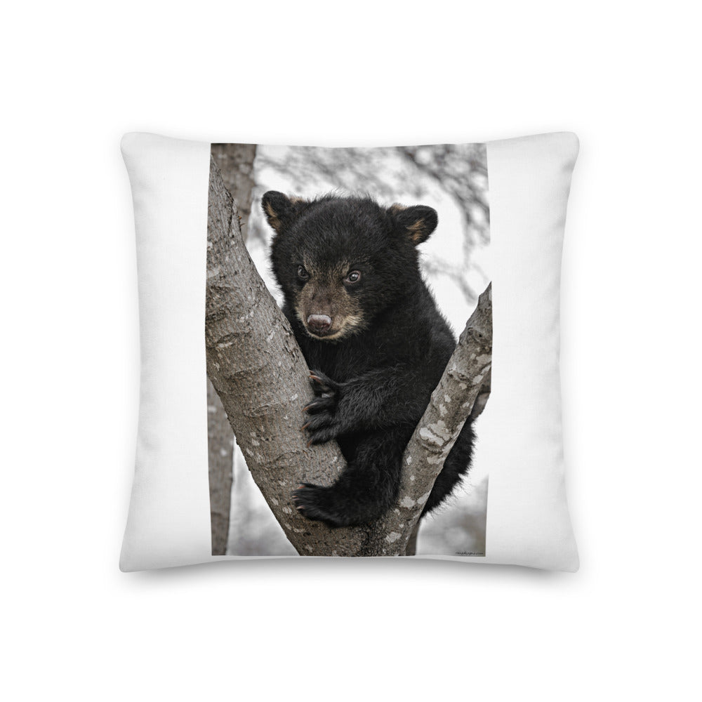 Premium White Stuffed Pillow - Baby Black Bear in a Tree
