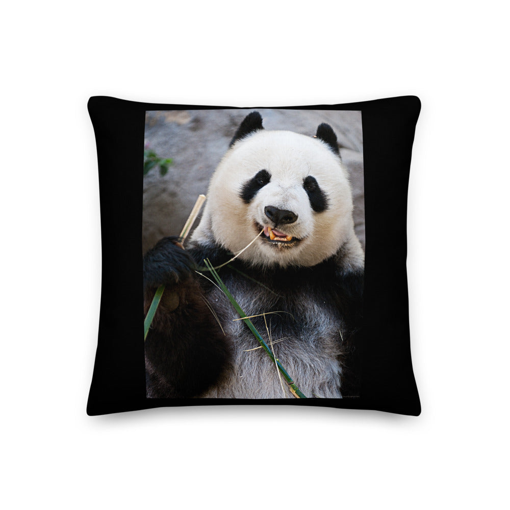 Premium Stuffed Pillow - Happy Panda