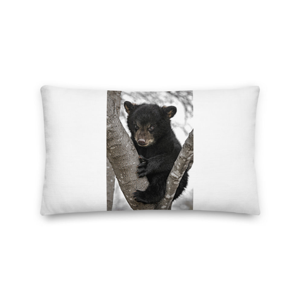Premium White Stuffed Pillow - Baby Black Bear in a Tree