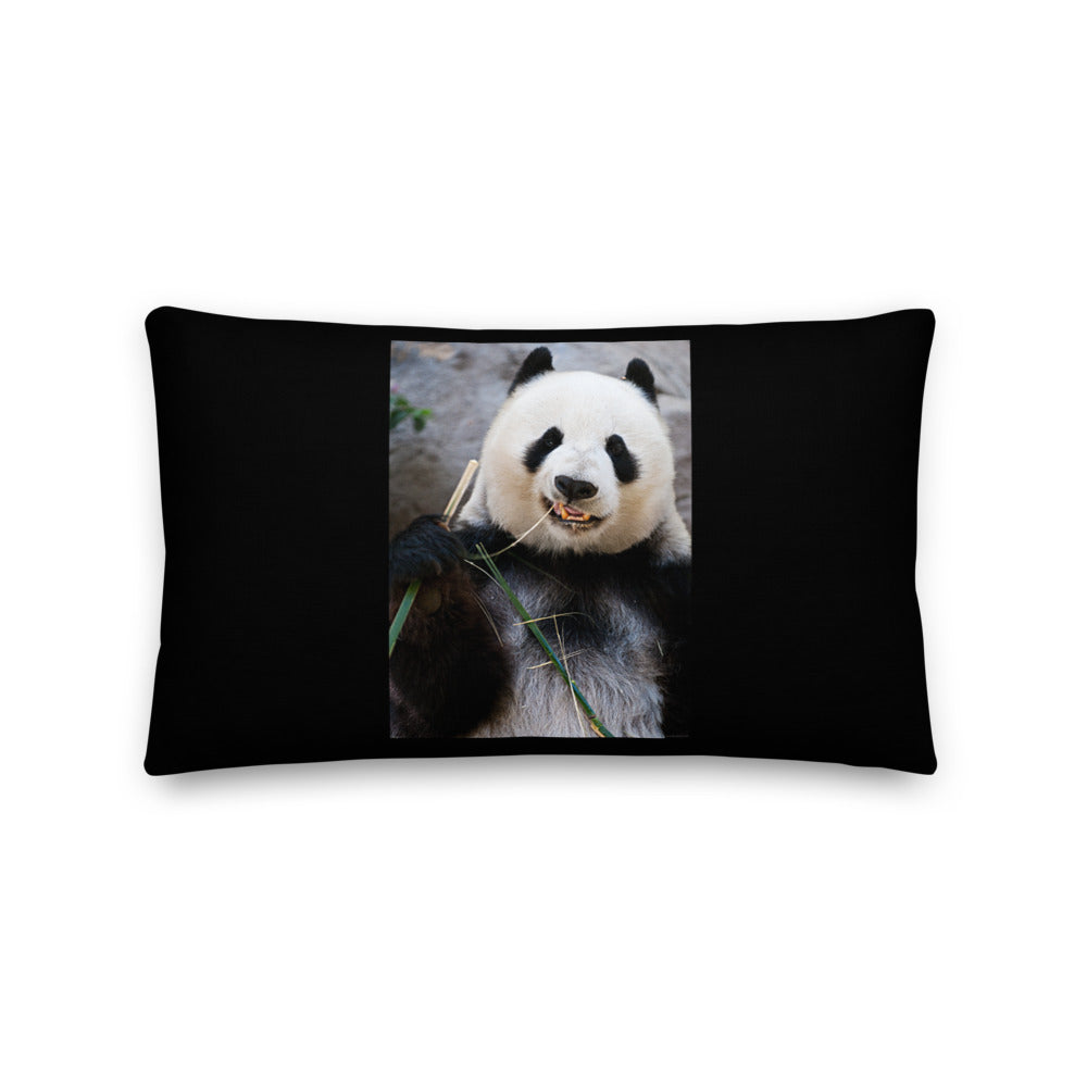 Premium Stuffed Pillow - Happy Panda