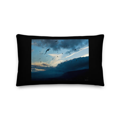 Premium Stuffed Pillow - Bird Storm, Lake Tahoe