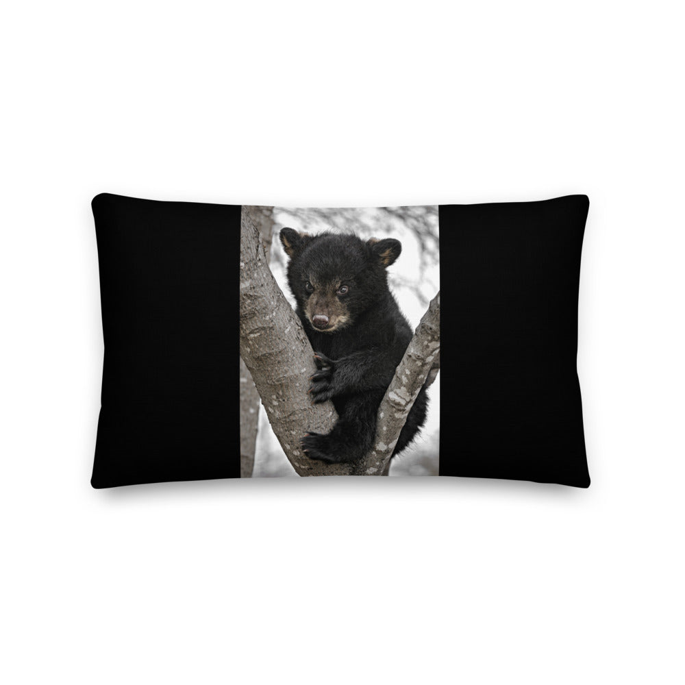 Premium Black Stuffed Pillow - Baby Black Bear in a Tree
