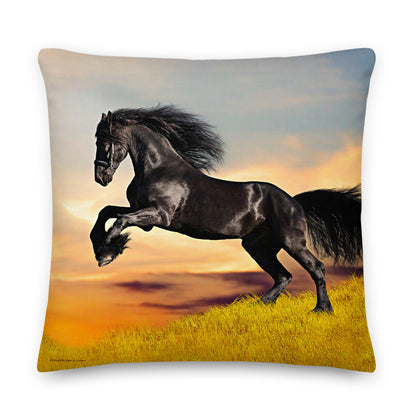 Premium Stuffed Pillow - Friesian Lift Off