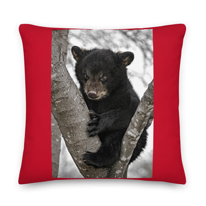 Premium Red Stuffed Pillow - Baby Black Bear in a Tree