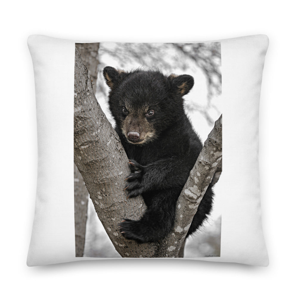 Premium White Stuffed Pillow - Baby Black Bear in a Tree