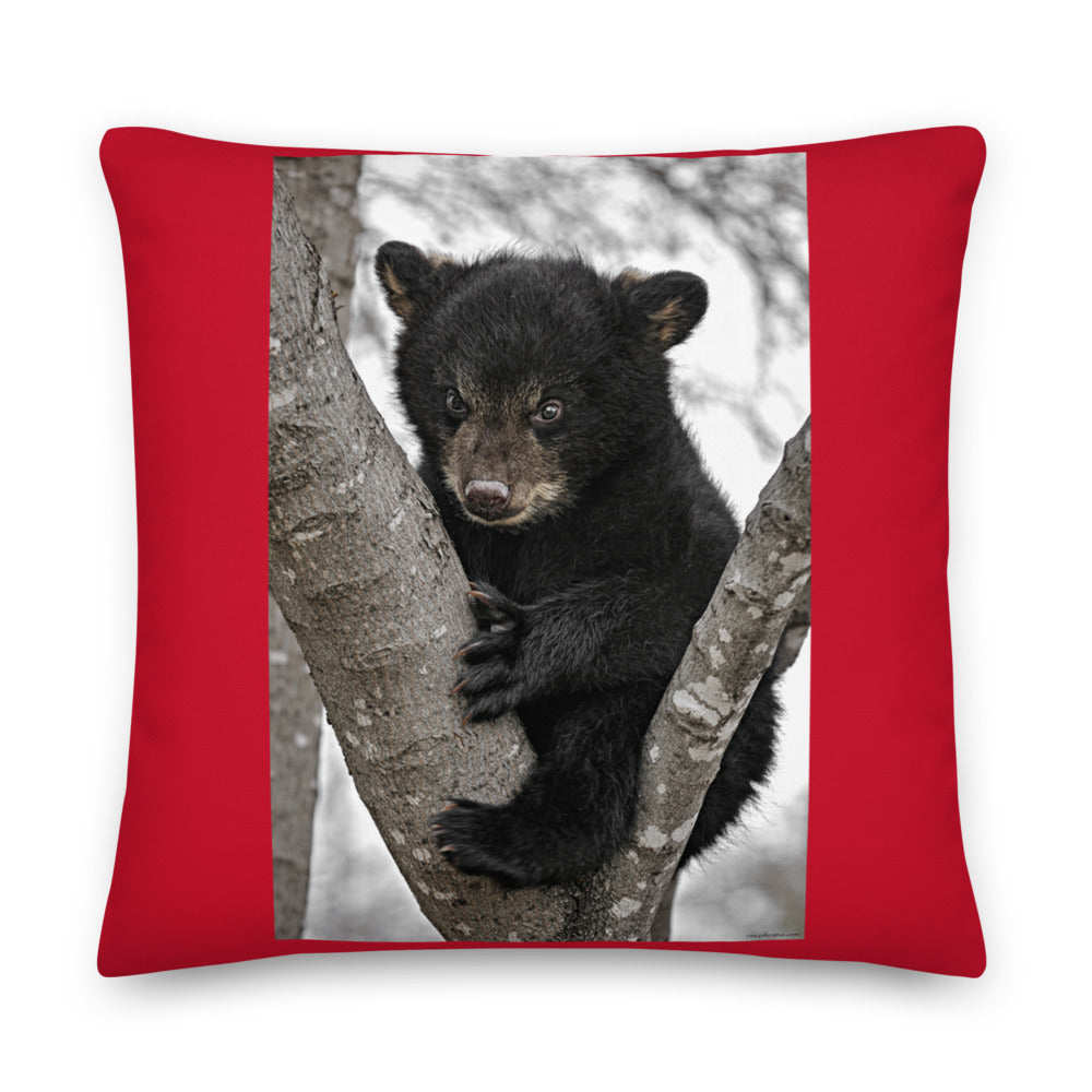 Premium Red Stuffed Pillow - Baby Black Bear in a Tree