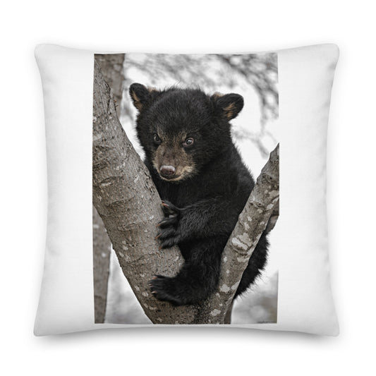 Premium White Stuffed Pillow - Baby Black Bear in a Tree