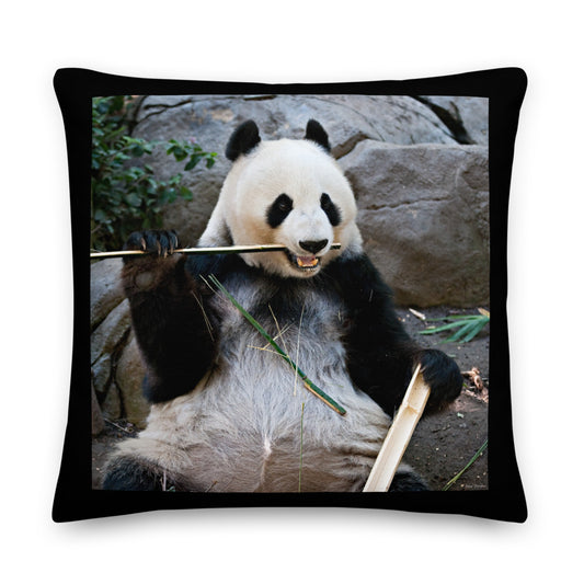 Premium Stuffed Pillow - Bamboo Panda