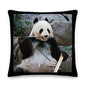 Premium Stuffed Pillow - Bamboo Panda