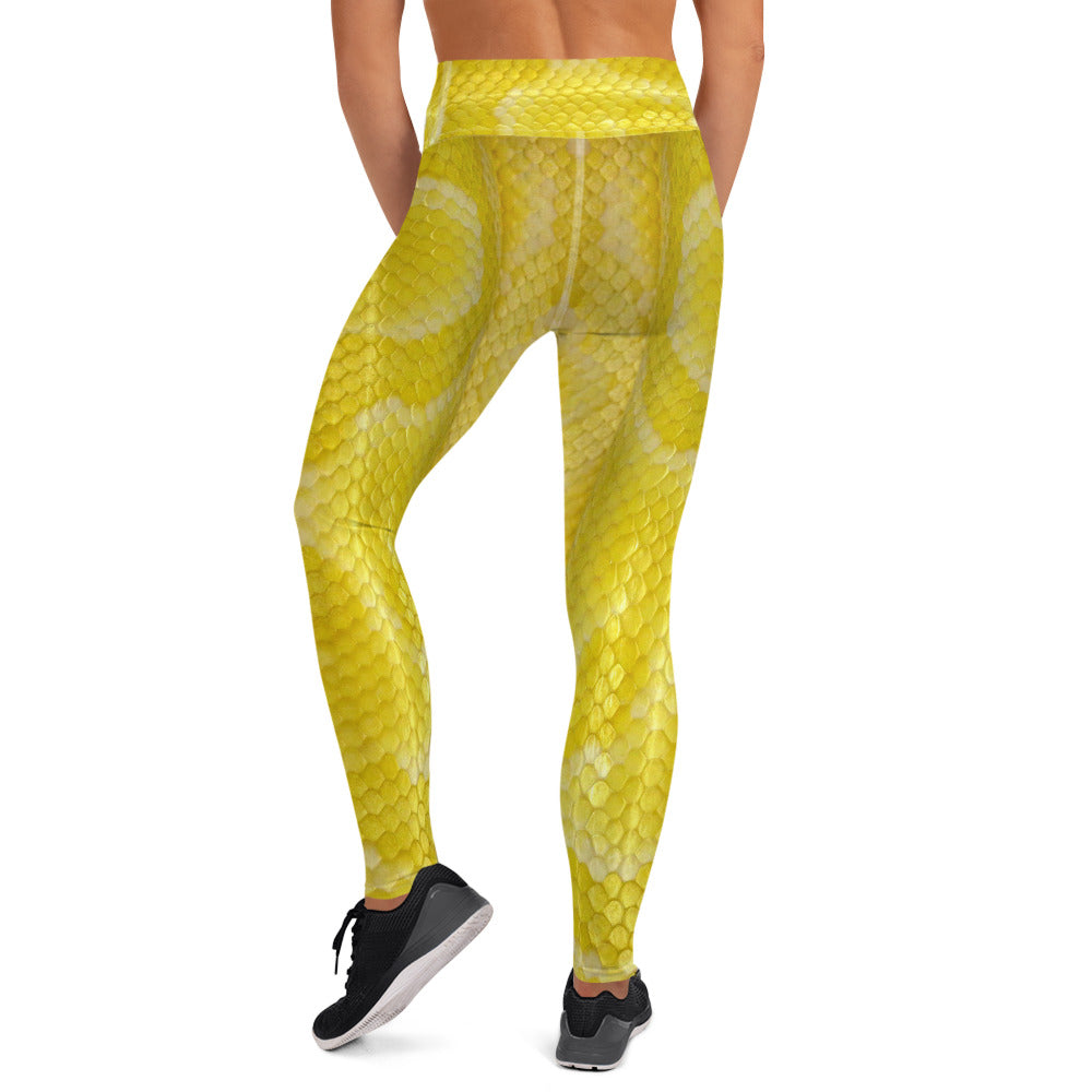Yoga Leggings - Rory's Albino Python