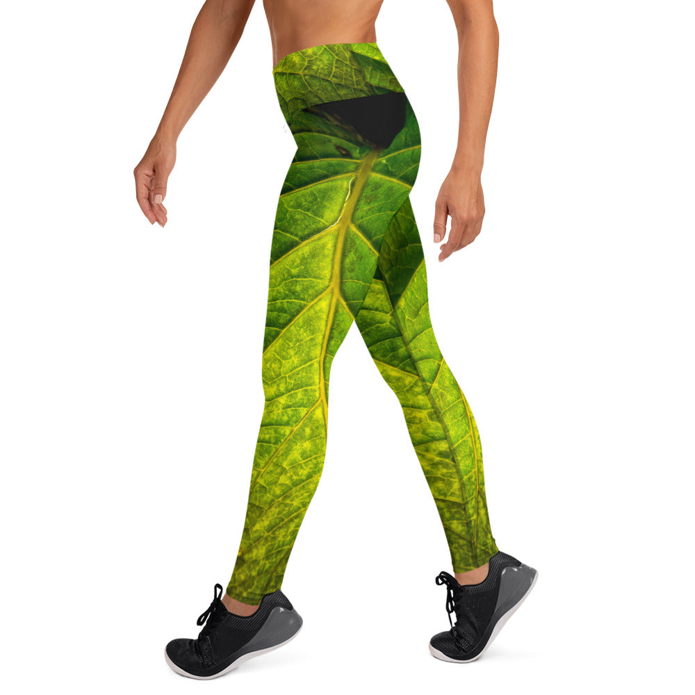 Wrap A Frond - Women's Leggings