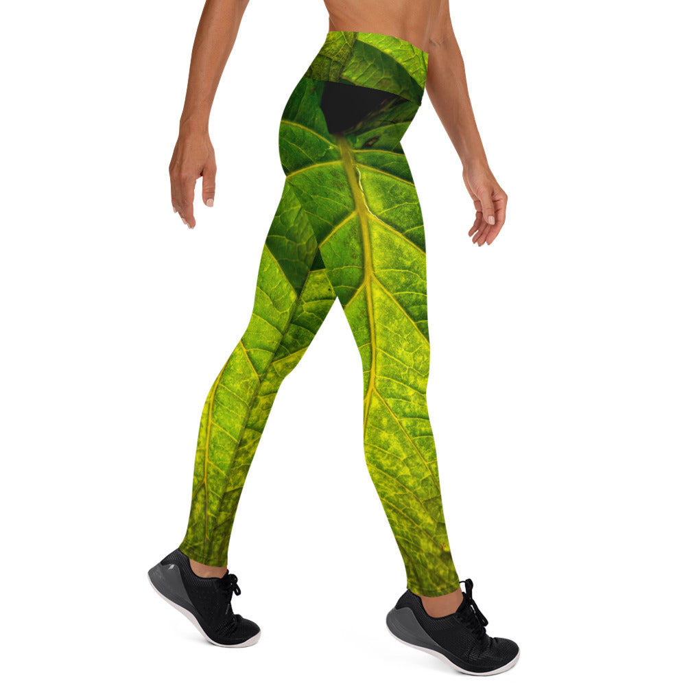 Wrap A Frond - Women's Leggings