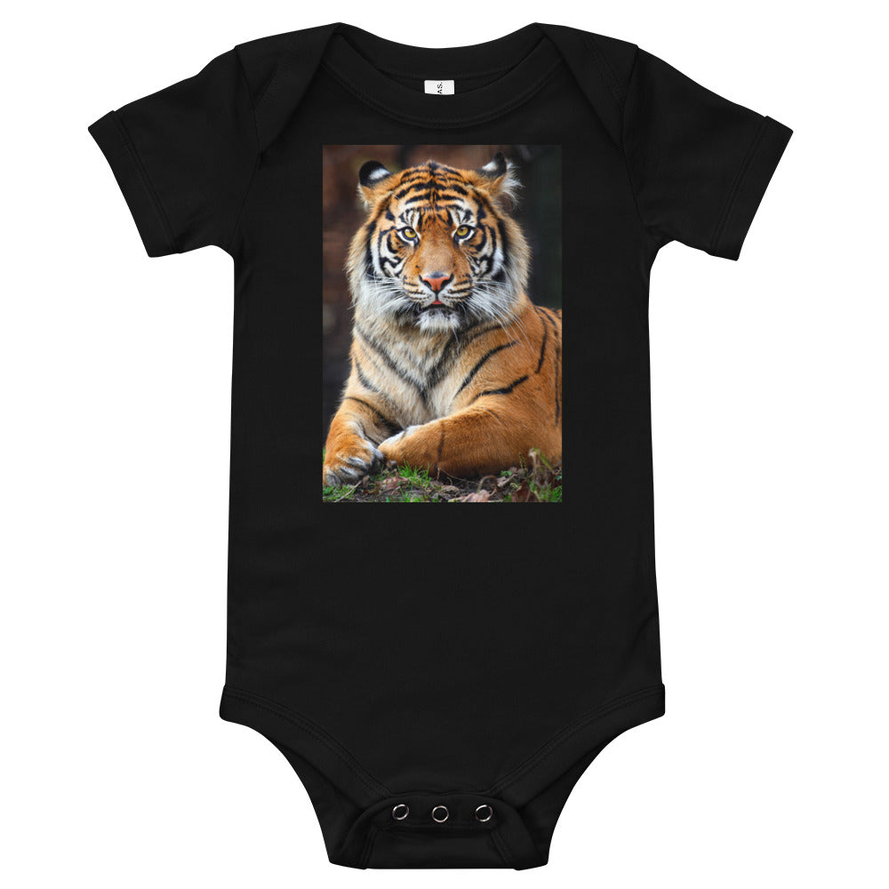 Light Soft Baby Bodysuit - Big Cat