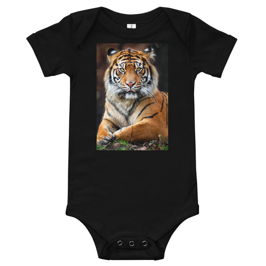 Light Soft Baby Bodysuit - Big Cat