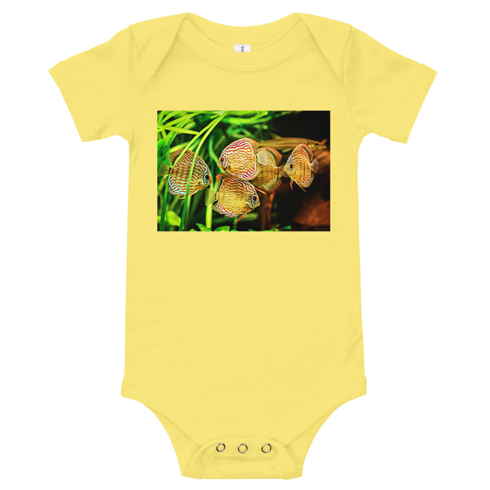 Light Soft Baby Bodysuit - Amazon Discus