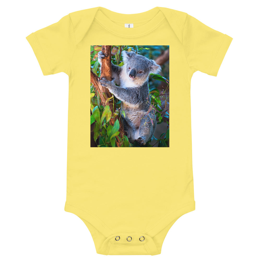 Light Soft Baby Bodysuit - Koala in a Tree