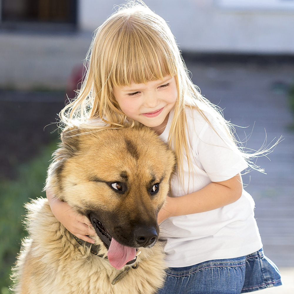 Premium Soft Toddler Tee - All the Animals