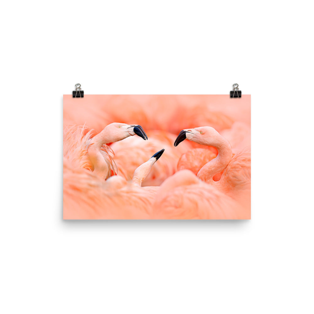 Beautiful Gicleé Poster - Pink Flamingos