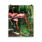 Beautiful Gicleé Poster - Pink Flamingos