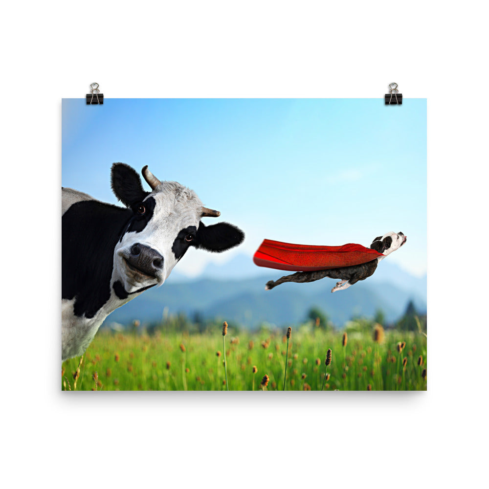 Beautiful Gicleé Poster - Cow & Super Dog