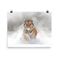 Beautiful Gicleé Poster - Tiger in the Snow