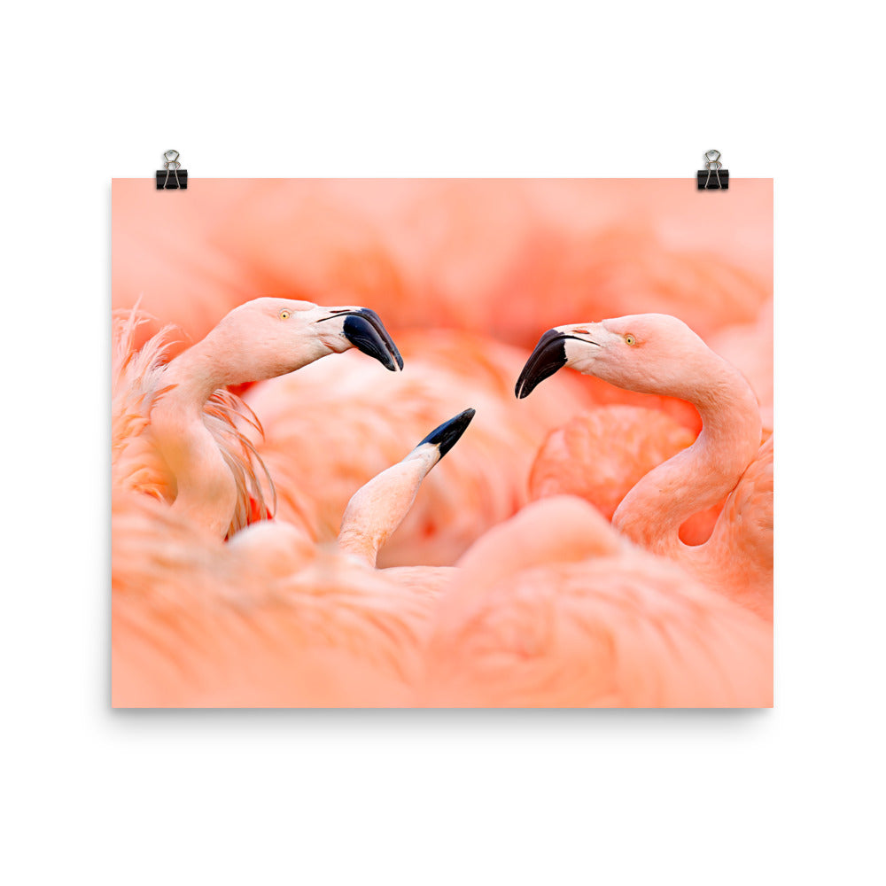 Beautiful Gicleé Poster - Pink Flamingos