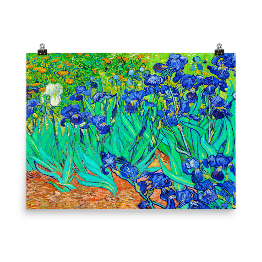 Beautiful Gicleé Poster - van Gogh's "Irises"