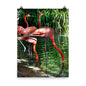 Beautiful Gicleé Poster - Pink Flamingos