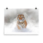 Beautiful Gicleé Poster - Tiger in the Snow