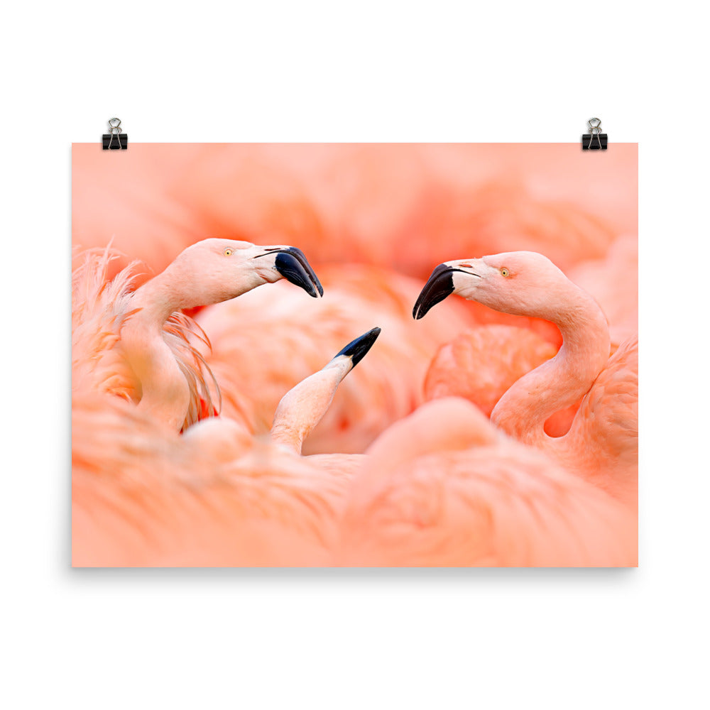 Beautiful Gicleé Poster - Pink Flamingos
