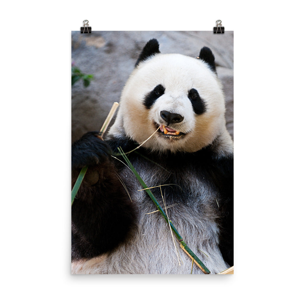 Beautiful Gicleé Poster - Happy Panda