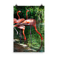Beautiful Gicleé Poster - Pink Flamingos
