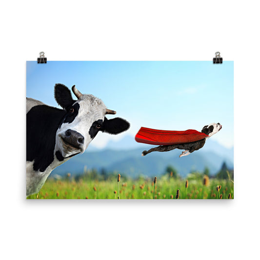 Beautiful Gicleé Poster - Cow & Super Dog
