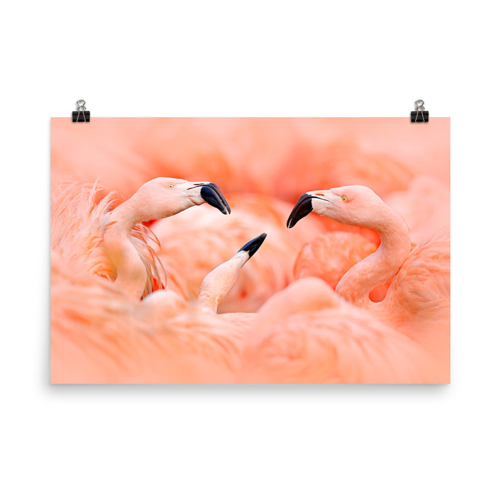Beautiful Gicleé Poster - Pink Flamingos
