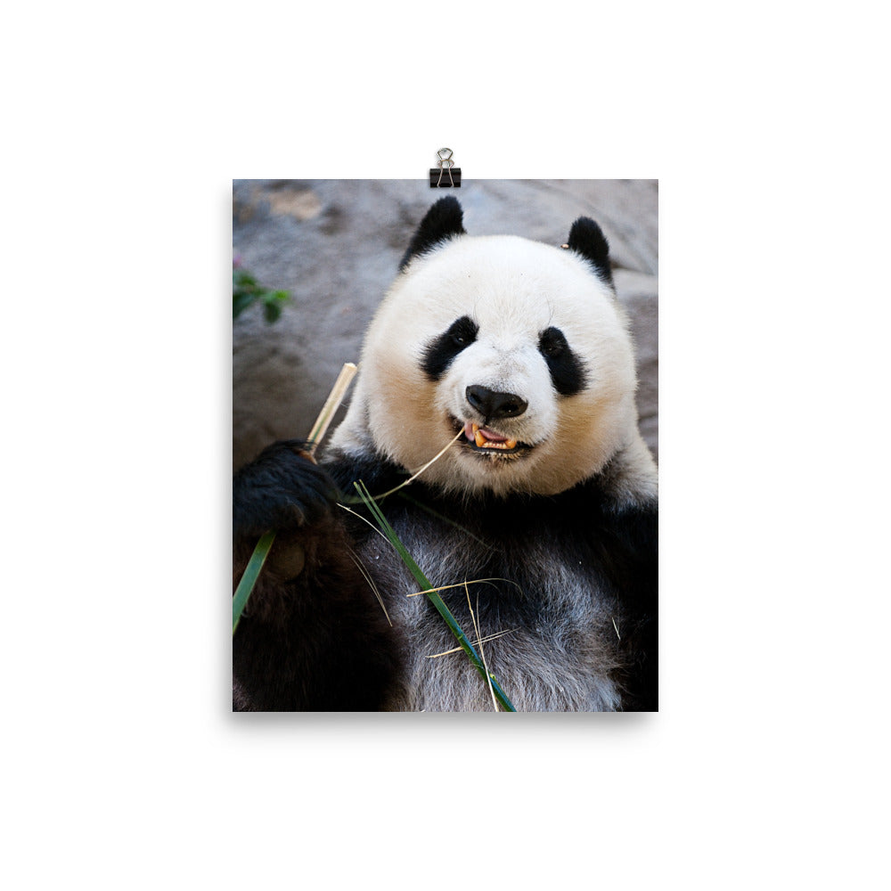Beautiful Gicleé Poster - Happy Panda