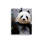 Beautiful Gicleé Poster - Happy Panda