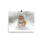 Beautiful Gicleé Poster - Tiger in the Snow