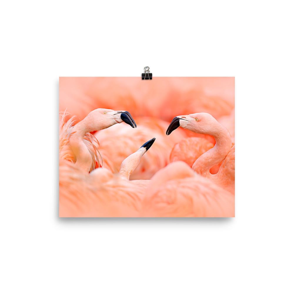 Beautiful Gicleé Poster - Pink Flamingos