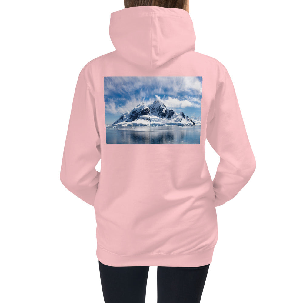 Kids HoodiePremium Hoodie - BACK Print: Antarctic Wind