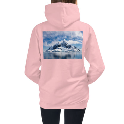 Kids HoodiePremium Hoodie - BACK Print: Antarctic Wind