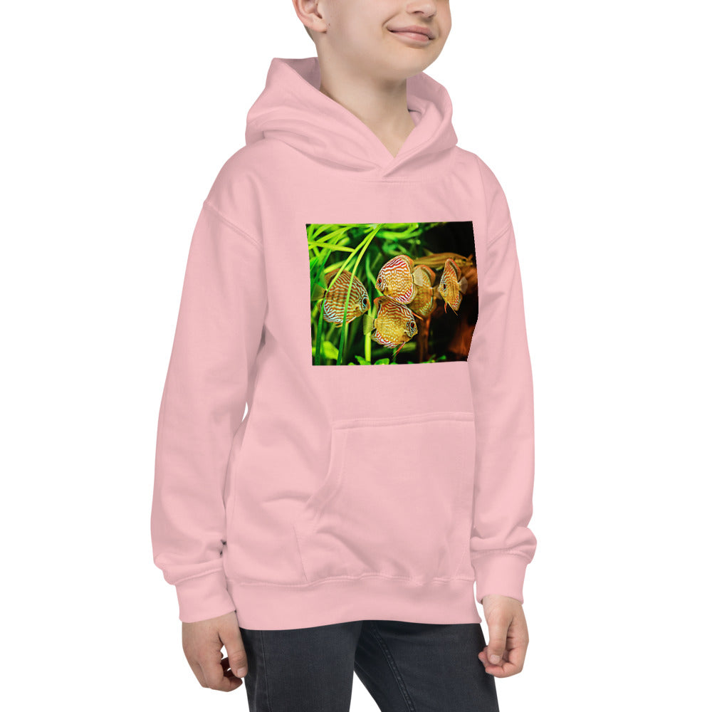 Premium Hoodie - FRONT Print: Amazon Discus