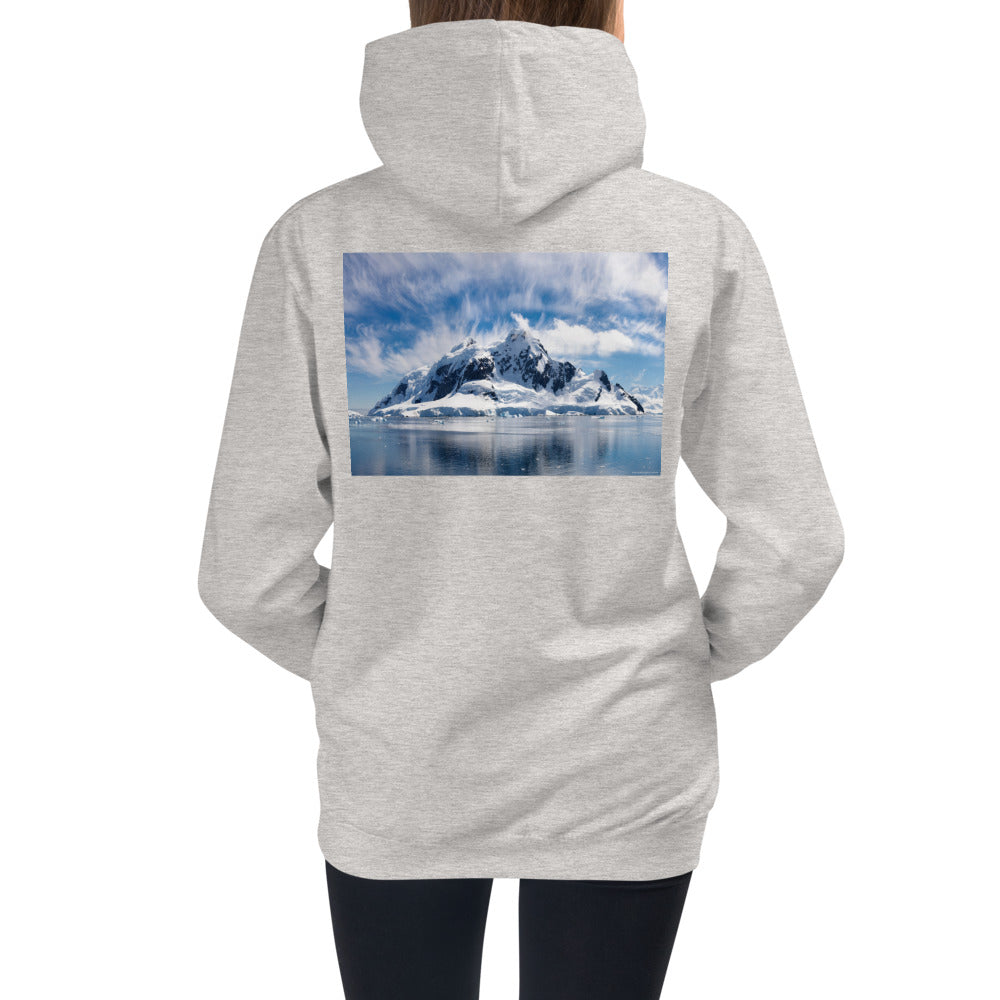 Kids HoodiePremium Hoodie - BACK Print: Antarctic Wind